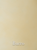 Burro
