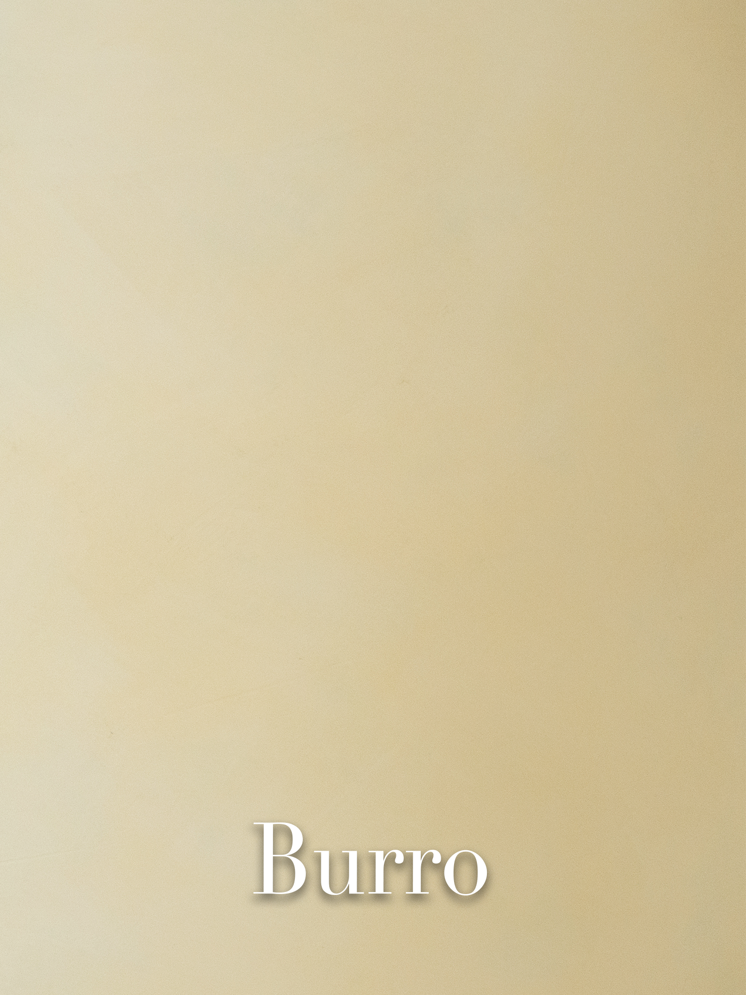 Burro