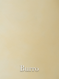 Burro