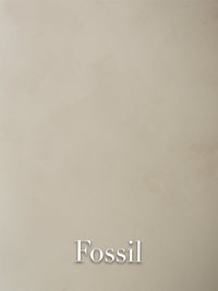 Fossil