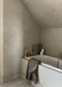 Plaster Paint - Raw